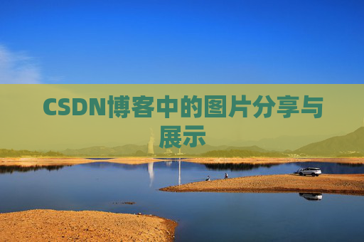 CSDN博客中的图片分享与展示